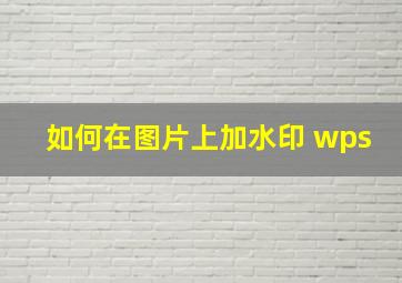 如何在图片上加水印 wps